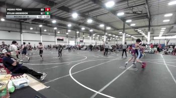 126 lbs Round Of 16 - Pedro Pena, Rby Wc vs Dylan Anderson, No Team