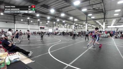 126 lbs Round Of 16 - Pedro Pena, Rby Wc vs Dylan Anderson, No Team