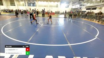 82 lbs Quarterfinal - Joseph Cappuchi, Smitty's Wrestling Barn vs Henry Hambardzumian, New England Gold WC