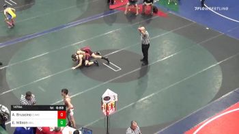 147 lbs Consolation - Anthony Bruscino, Cumberland Vly vs Ean Wilson, Boiling Springs