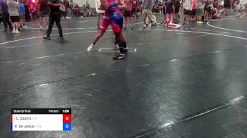 126 lbs Quarterfinal - Lian Castro, Florida vs Roberto De Jesus, Lake Gibson High School Wrestling