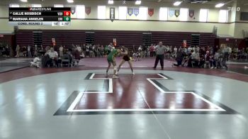 110 lbs Cons. Round 2 - Callie Nosbisch, Vinton-Shellsburg vs Mariana Angeles, Cedar Rapids Kennedy