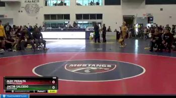 145 lbs Semifinal - Alec Peralta, Temecula Valley vs Jacob Salcedo, Northview