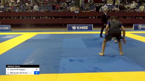 Elijah David Brinegar vs Lucas Marques De Araújo Br 2024 Pan IBJJF Jiu-Jitsu No-Gi Championship