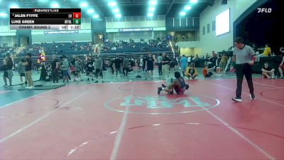 125 lbs Champ. Round 3 - Jalen Fyffe, Liberty U vs Luke Green, Mt. Olive