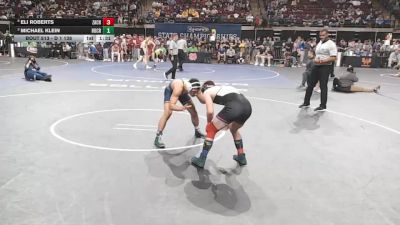 D 1 138 lbs Quarterfinal - Michael Klein, Holy Cross vs Eli Roberts, Zachary