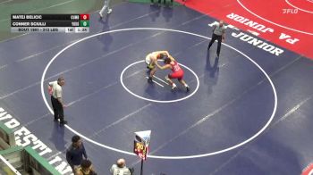 212 lbs Semifinal - Matej Belicic, Cumberland Valley vs Conner Sciulli, Yough