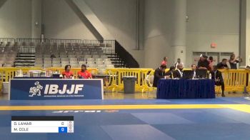 DAVID LAMAR ROLLINS vs MICHAEL COLE PARKER 2019 American National IBJJF Jiu-Jitsu Championship