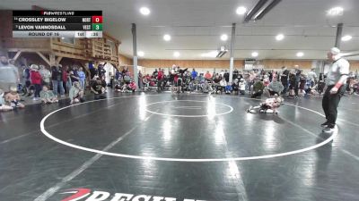 52 lbs Round Of 16 - Crossley Bigelow, North Hampton vs Levon VanNosdall, Vestal