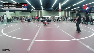 67 lbs Final - Kyleigh Danielson, Texas Elite Wrestling Club vs Adrian Palincsar, NB Elite Wrestling Club