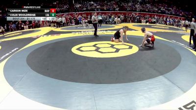 D1-175 lbs Semifinal - Carson Mize, Marysville vs Colin Wooldridge, La Salle