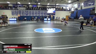 141 lbs Champ. Round 1 - Avery Femrite, Wisconsin-Platteville vs Conner Brimeyer, Loras
