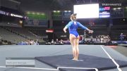 Faith Lerro American Twisters - Floor