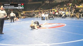 113 Class 4 lbs Champ. Round 1 - Dalton Mcdaniel, St. Pius X (Kansas City) vs Jacob Nix, Waynesville