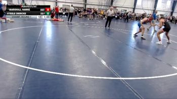 Silver 141 lbs Champ. Round 1 - Steele Diercks, Wisconsin-Platteville vs Marshall Hanke, Wartburg