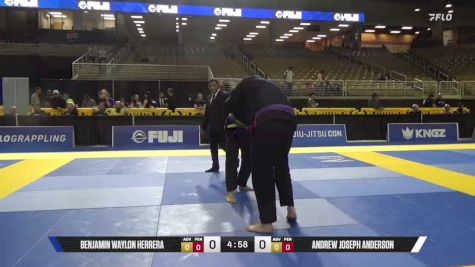 Andrew Joseph Anderson vs Benjamin Waylon Herrera 2025 Pan Jiu Jitsu IBJJF Championship