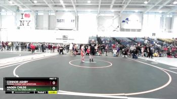 87 lbs Cons. Round 3 - Connor Ashby, Phoenix Combat Kids Wrestling vs Haden Childs, Wellsville You Wrestling Club