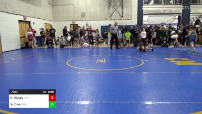 78 lbs Round Of 64 - Kameron Rohaly, North Hills vs William Dies, Brecksville