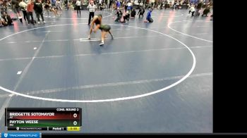 138 lbs Cons. Round 2 - Payton Weese, MO vs Bridgette Sotomayor, AZ
