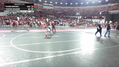 78 lbs 3rd Place Match - Ryder Mitchell, De Pere Youth Wrestling vs Easton Helnore, Wisconsin