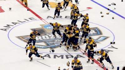 Frozen Four: Here Are The 16 Teams That Made The 2024 NCAA Men's Tournament