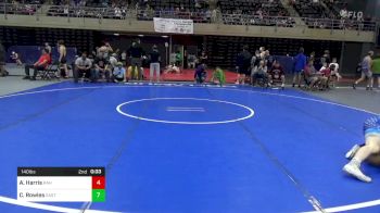 140 lbs Quarterfinal - Adrian Harris, Rahway vs Colten Rowles, East Waterford