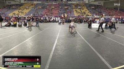 141 lbs Semis & 3rd Wb (16 Team) - Jackson Cockrell, Grand View (Iowa) vs Aaron Lucio, Southeastern