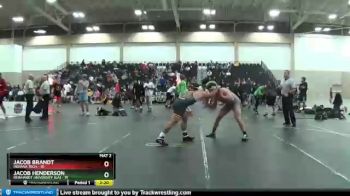 197 lbs Quarters & 1st Wb (16 Team) - Jacob Brandt, Indiana Tech vs Jacob Henderson, Reinhardt University (GA)