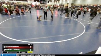 58 lbs Cons. Round 3 - Kolton Delebreau, WI vs Kameron Cushman, IA