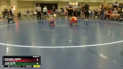 65 lbs Round 5 (8 Team) - Zachary Harris, Team Arkansas vs Luke Blair, SVRWC Black