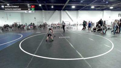 42 lbs Consi Of 4 - Briggs Schmalz, Colorado Hammers vs Kataleya Martinez, Bad Cat WC