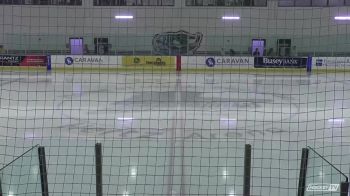 Replay: Wildcats vs Bears | Jun 19 @ 12 PM