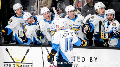 Toledo Walleye Vs. Kalamazoo Wings ECHL Kelly Cup Playoffs Matchup Preview