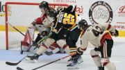 Indy Fuel Vs. Wheeling Nailers: ECHL Kelly Cup Playoffs