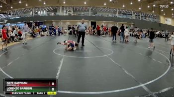 52 lbs Round 3 - Lorenzo Barbieri, Buxton vs Nate Gaffigan, Ohio Gold