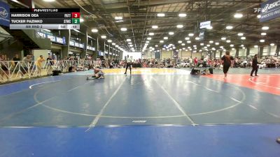 132 lbs Rr Rnd 2 - Harrison Dea, Patton Trained Blue vs Tucker Pazinko, Shore Thing Surf