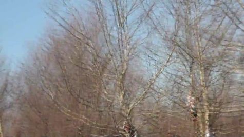 Post Race Caranage at 2012 NCAA Division I Cross Country Championships