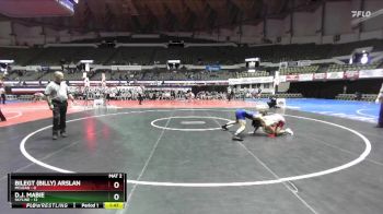 120 lbs Semis & Wb (16 Team) - Bilegt (Billy) Arslan, Mclean vs D.J. Mabie, Skyline