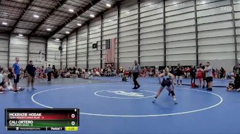 95 lbs Final - McKenzie Hodak, Team Pennsylvania Blue vs Cali Ortero, Team Ohio Gold