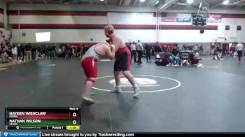 285 lbs Semifinal - Nathan Wilson, Ferris vs Hayden Wienclaw, Ferris