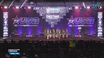 Claws Out All Stars - Cheetahs [2025 L1 - U16 Day 2] 2025 USA All Star Cheer Super Nationals