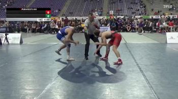 133 lbs Semis & 1st Wrestleback (8 Team) - Trenden Bashore, Olivet vs Tanner Higa, University Of Dubuque