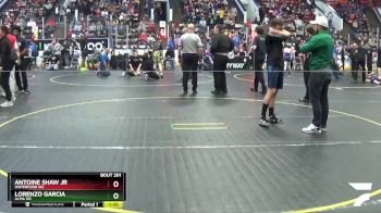 95 lbs 7th Place Match - Paxton Burns, Decatur WC vs Levi Ashcraft, NBWC