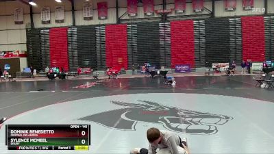 141 lbs Champ. Round 1 - Dominik Benedetto, Central Oklahoma vs Sylence McMeel, Drury