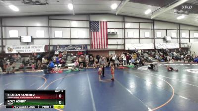 49 lbs Champ. Round 2 - Keagan Sanchez, Sanderson Wrestling Academy vs Kolt Ashby, Delta