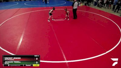 70 lbs Cons. Round 3 - Jackson Tisdell, Bemidji vs Vincent Jenkins, Pelican Rapids