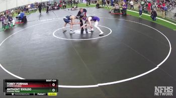 113 lbs Quarterfinal - Anthony Esoldo, Shadow Ridge vs Tobey Forman, Spanish Springs