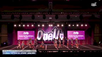 Florida Top Dog All Stars - Miss Mist [2026 L4 Junior - Flex - Small Day 3] 2026 One Up Grand Nationals