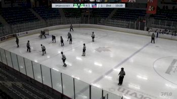 Replay: Vipr - 2024 Bourget College vs Mount Academy | Feb 2 @ 6 PM