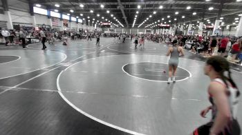 109 lbs Quarterfinal - Sophia Hennigh, Juggernaut WC vs Dalianys Ramos Arroyo, Dominate Club Wrestling